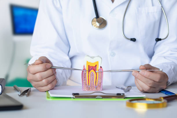 Professional Emergency Dental Service in CA